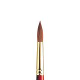 Winsor & Newton 5181712 Sceptre Gold II sanatçı sulu boya fırçası, yüksek renk taşıma kapasitesi ve mükemmel sıçrama kuvveti, 101 serisi - yuvarlak fırça, kısa sap, No. 12-7,9 mm