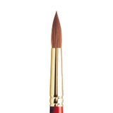 Winsor & Newton 5181714 Sceptre Gold II sanatçı sulu boya fırçası, yüksek renk taşıma kapasitesi ve mükemmel sıçrama kuvveti, 101 serisi - yuvarlak fırça, kısa sap, No. 14-10 mm