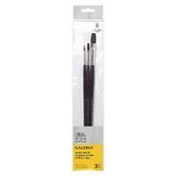 Winsor & Newton 5790609 Galeria akrilik fırça seti, sentetik elyaftan yapılmıştır, kalın boya işleri için ideal kontrol - 3 fırça set halinde