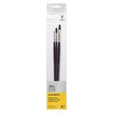 Winsor & Newton 5790610 Galeria akrilik fırça seti, sentetik elyaftan üretilmiştir, kalın boya işleri için ideal kontrol - 3 fırça seti