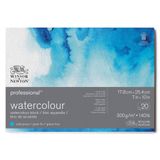 Winsor & Newton 6664001 profesyonel sulu boya kağıdı, blokta, 20 yaprak, 17,8 x 25,4 cm, 300 g/m², ince taneli, arşivlenebilir kalitede açık doğal beyaz kağıt, sarıya dayanıklı
