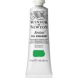 Winsor Newton Artists 483 Permanent Green Light 37 ml Yağlı Boya