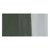 Winsor Newton Artists Davy'S Gray 217 S.2 37 ml Yağlı Boya