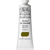 Winsor Newton Artists Olive Green 447 S.2 37 ml Yağlı Boya