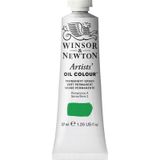 Winsor Newton Artists Permanent Green 481 S.2 37 ml Yağlı Boya