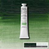 Winsor Newton Artists Terre Verte 637 S.1 200 ml Yağlı Boya