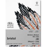 Winsor & Newton Bristol Bloknotu Yapışkanlı 250GR 20 Sayfa 23X31CM