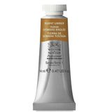 Winsor Newton Burnt Umber 076 S.1 14 ml Sulu Boya