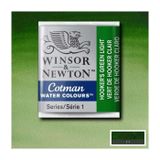 Winsor & Newton Cotman Green Light 314 Yarım Tablet Sulu Boya