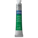 Winsor Newton Cotman Hooker's Green Light 8 ml Sulu Boya