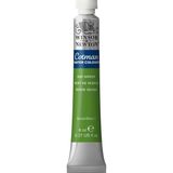 Winsor & Newton Cotman Sulu Boya 8 ml Sap Green 599