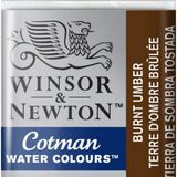 Winsor & Newton Cotman Yarım Tablet Sulu Boya Burnt Umber Renkli 1 Parça