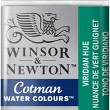 Winsor & Newton Cotman Yarım Tablet Sulu Boya Viridian Hue