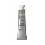 Winsor Newton Davy's Gray 217 5 ml Sulu Boya