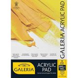 Winsor & Newton Galeria Akrilik Boya Bloknotu 300 gr (15 Yaprak) A4