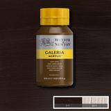 Winsor Newton Galeria Akrilik Boya Burnt Umber