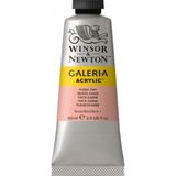 Winsor Newton Galeria Flesh Tint 257 120ml Akrilik Boya