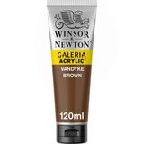 Winsor Newton Galeria No:676 Vandyke Brown 120ml Akrilik Boya