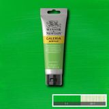 Winsor Newton Galeria Permanent Green Light 483 120ml Akrilik Boya