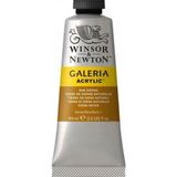 Winsor Newton Galeria Raw Sienna 552 60ml Akrilik Boya