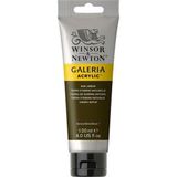Winsor Newton Galeria Raw Umber 554 120ml Akrilik Boya