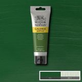 Winsor Newton Galeria Sap Green 599 120ml Akrilik Boya