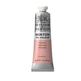 Wınsor Newton N:257 Flesh Tint 37 ml Yağlı Boya
