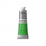 Winsor & Newton N:483 Permanent Green Light Yağlı Boya