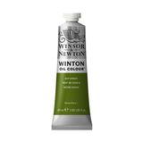 Winsor & Newton N:599 Sap Green Yağlı Boya