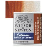 Winsor Newton No:074 Burnt Sienna Tablet Sulu Boya