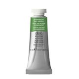 Winsor Newton Permanent Sap Green 503 S.1 14 ml Sulu Boya
