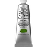 Winsor Newton Permanent Sap Green 503 S.3 60 ml Akrilik Boya