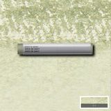Winsor & Newton : Professional : Çubuk Sulu Boya : Davy's Gray 217 S.1 - Renkli