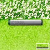 Winsor & Newton : Professional : Çubuk Sulu Boya : Permanent Sap Green 503 S.1 - Renkli
