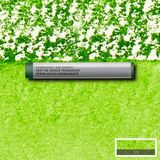 Winsor & Newton : Professional : Çubuk Sulu Boya : Permanent Sap Green 503 S.1
