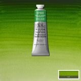 Winsor & Newton Professional Sulu Boya 37ML Permanent Sap Green 503 S.1