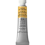 Winsor & Newton Professional Sulu Boya 5ml Naples Yellow Deep 425 S.1
