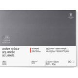 Winsor & Newton Professional Sulu Boya Bloğu Sıcak Baskı 300 gr 31 x 41 cm