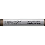 Winsor & Newton Professional Sulu Boya Çubuk Vandyke Brown 676 S.1