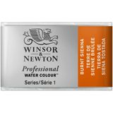 Winsor & Newton Professional Sulu Boya Tam Tablet Burnt Sienna 074 S.1