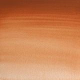 Winsor & Newton Professional Sulu Boya Tam Tablet Magnesium Brown 381 S.1