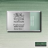 Winsor & Newton Professional Sulu Boya Tam Tablet Terre Verte 637 S.1