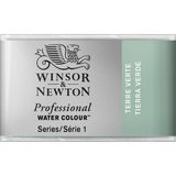 Winsor & Newton Professional Sulu Boya Tam Tablet Terre Verte (Yellow Shade) 638 S.1