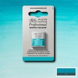 Winsor & Newton Professional Sulu Boya Yarım Tablet Cobalt Turquoise Light 191 S.4