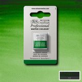 Winsor & Newton Professional Sulu Boya Yarım Tablet Hooker’s Green 311 S.1