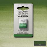 Winsor & Newton Professional Sulu Boya Yarım Tablet Oxide Of Chromium 459 S.3