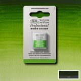 Winsor & Newton Professional Sulu Boya Yarım Tablet Perm. Sap Green 503 S.1