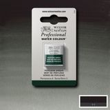 Winsor & Newton Professional Sulu Boya Yarım Tablet Perylene Green 460 S.2