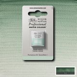 Winsor & Newton Professional Sulu Boya Yarım Tablet Terre Verte 637 S.1