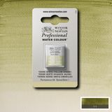 Winsor & Newton Professional Sulu Boya Yarım Tablet Terre Verte (Yellow Shade) 638 S.1